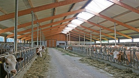 caméras ferme