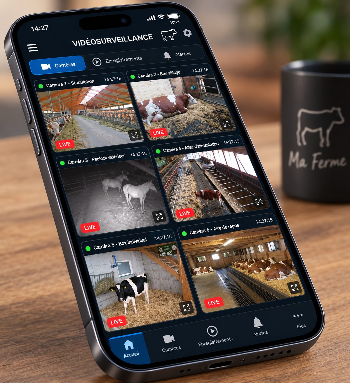 Interface de vidéosurveillance sur smartphone