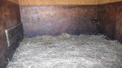 Surveillance nocturne d'un box de chevaux